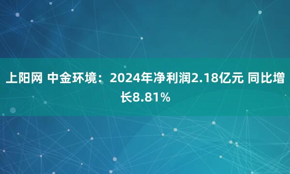 上阳网 中金环境：2024年净利润2.18亿元 同比增长8.81%