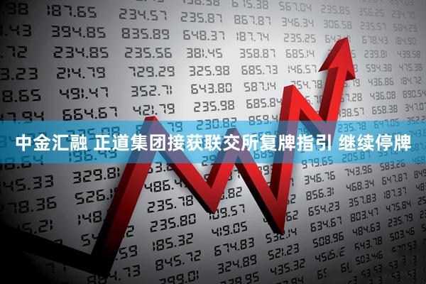 中金汇融 正道集团接获联交所复牌指引 继续停牌
