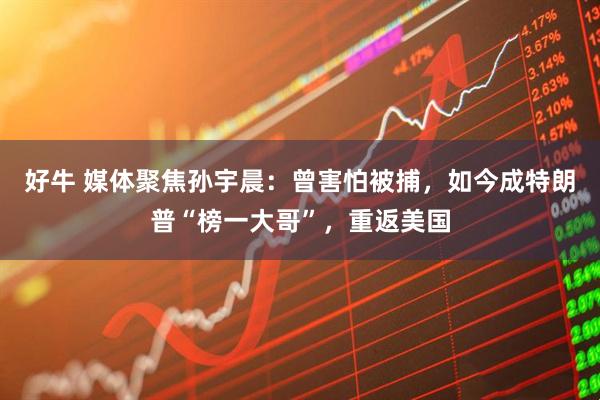 好牛 媒体聚焦孙宇晨：曾害怕被捕，如今成特朗普“榜一大哥”，重返美国