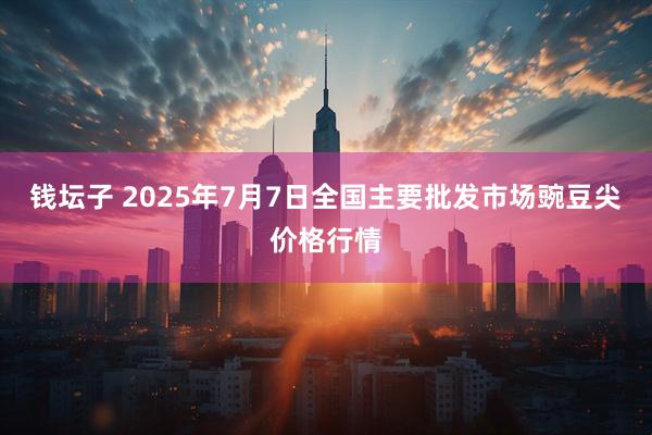 钱坛子 2025年7月7日全国主要批发市场豌豆尖价格行情