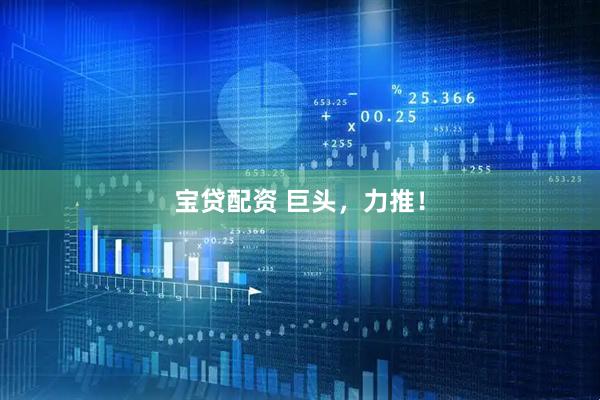 宝贷配资 巨头，力推！