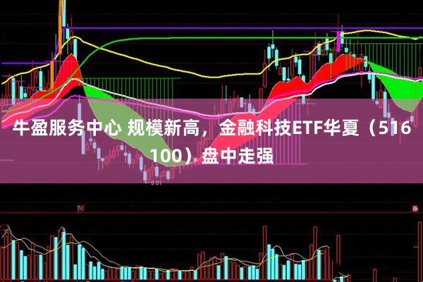 牛盈服务中心 规模新高，金融科技ETF华夏（516100）盘中走强