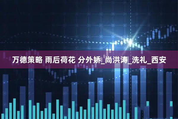 万德策略 雨后荷花 分外娇_尚洪涛_洗礼_西安