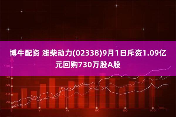 博牛配资 潍柴动力(02338)9月1日斥资1.09亿元回购730万股A股