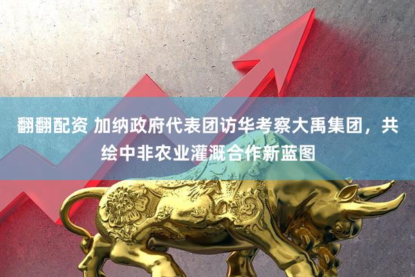翻翻配资 加纳政府代表团访华考察大禹集团，共绘中非农业灌溉合作新蓝图